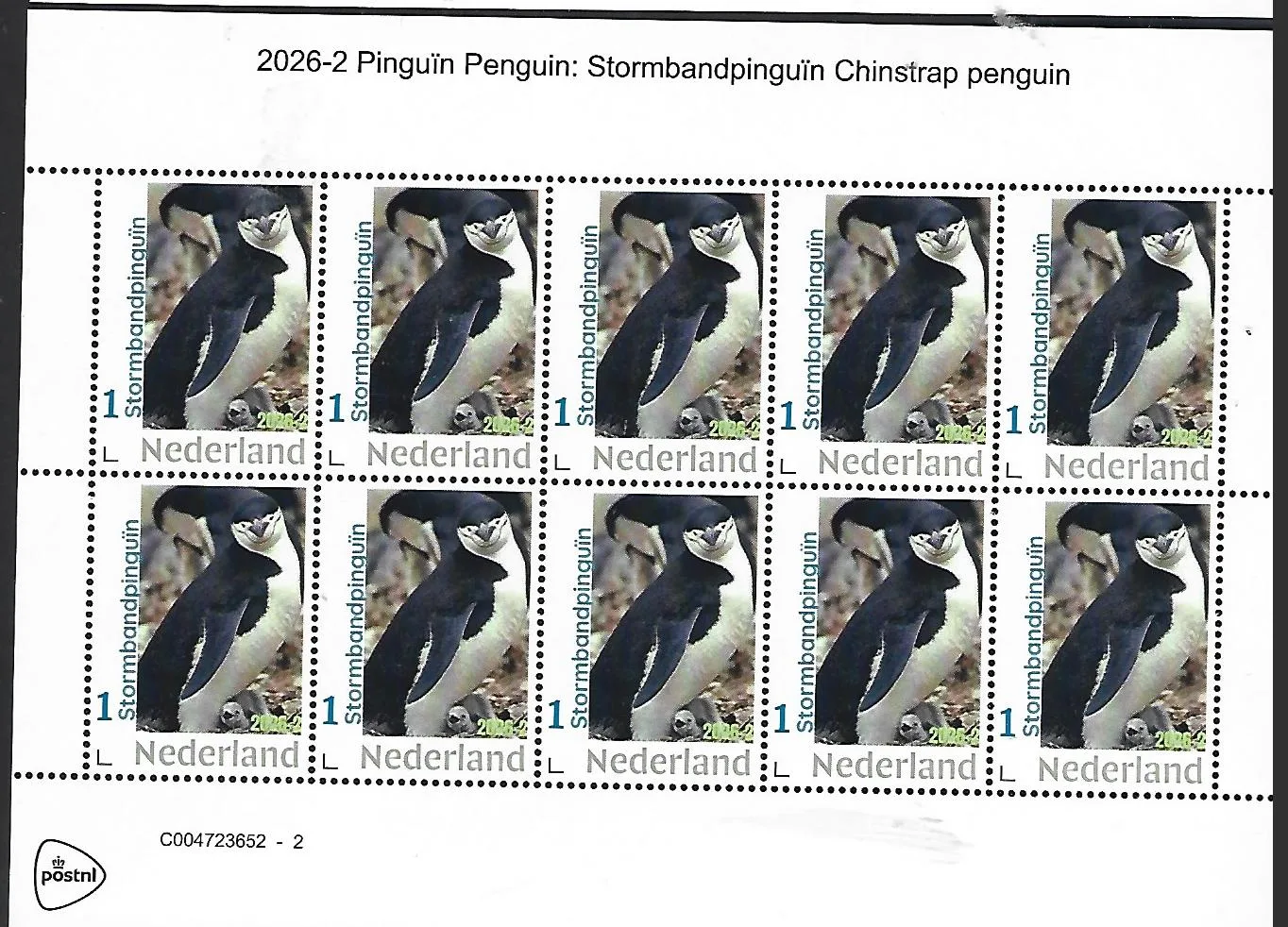 Nederland 2026-2 Pinguïn Penguin: Stormbandpinguïn Chinstrap penguin sheetlet postfris/mnh