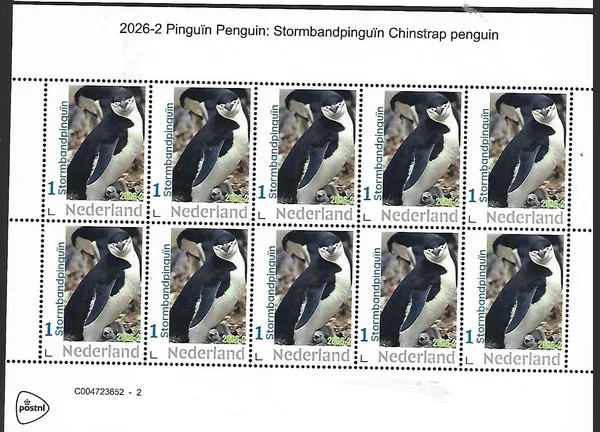 Nederland 2026-2 Pinguïn Penguin: Stormbandpinguïn Chinstrap penguin sheetlet postfris/mnh