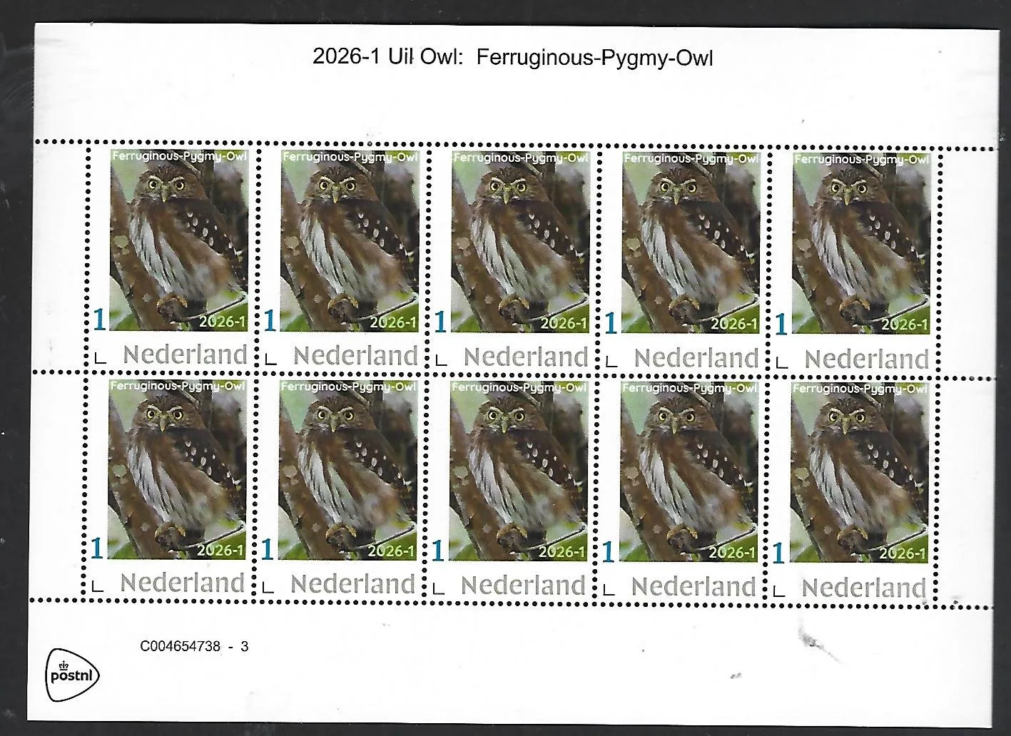 Nederland 2026-1 Uil Owl: Ferruginous-pygmy owl sheet postfris/mnh