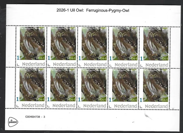 Netherlands 2026-1 Ferruginous-pygmy owl sheet MNH