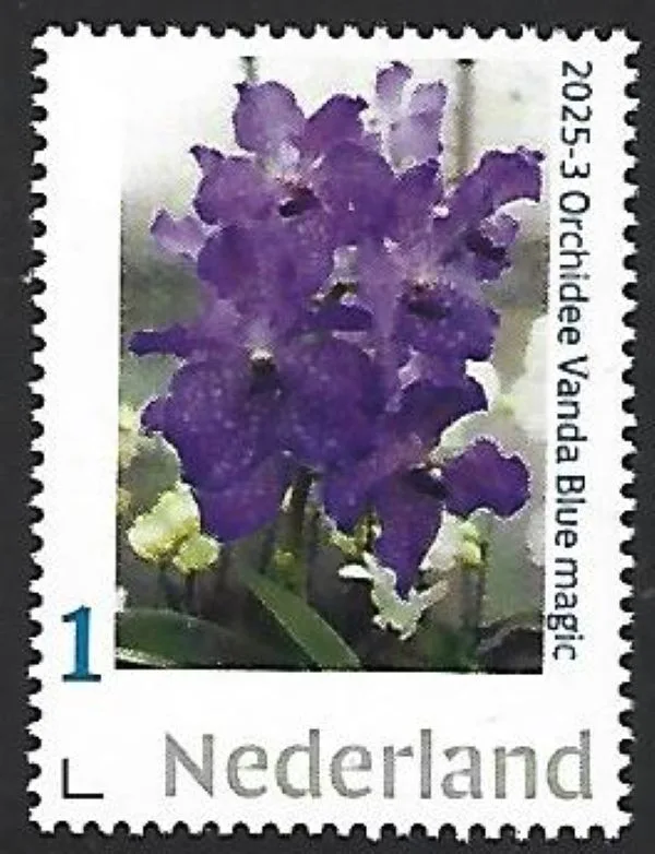 Netherlands 2025-3 Vanda Blue magic MNH