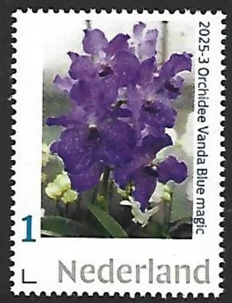 Nederland 2025-3 Vanda Blue magic postfris/mnh