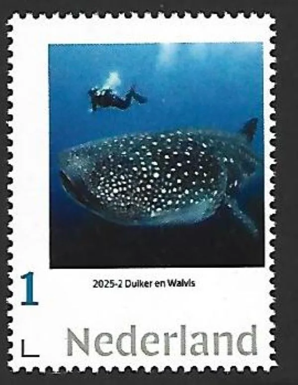 Nederland 2025-2 Duiker Walvis Diver meets Whale postfris/mnhent