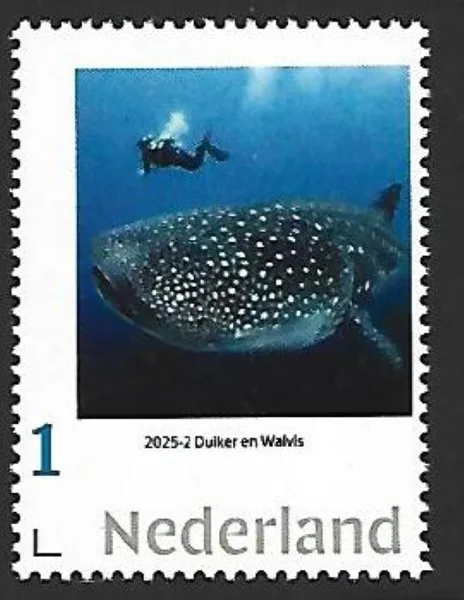 Nederland 2025-2 Duiker Walvis Diver meets Whale postfris/mnhent