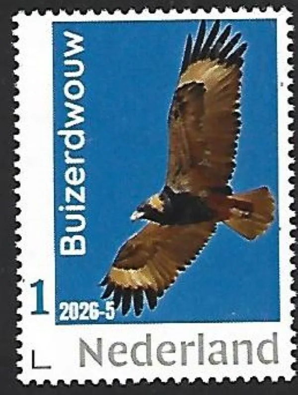 Nederland 2025-6 Roofvogel Bird of prey: Buizerwouw Buzzard sheet postfris/mnh