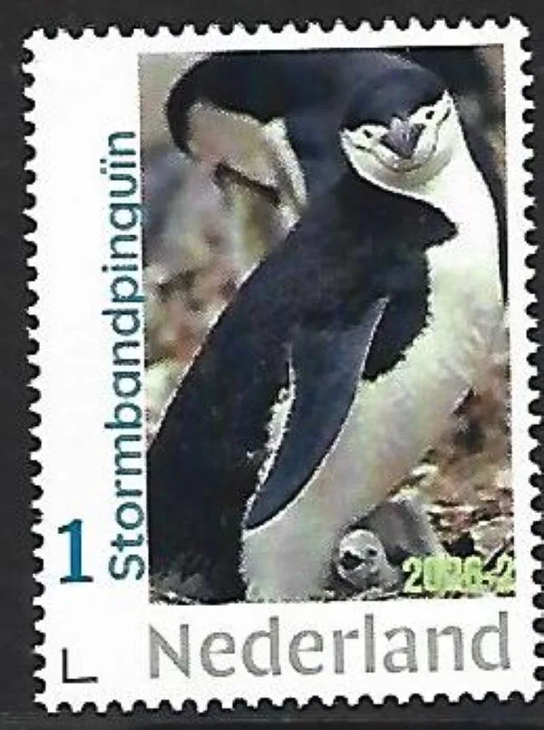 Netherlands 2026-2 Penguin: Chinstrap penguin MNH