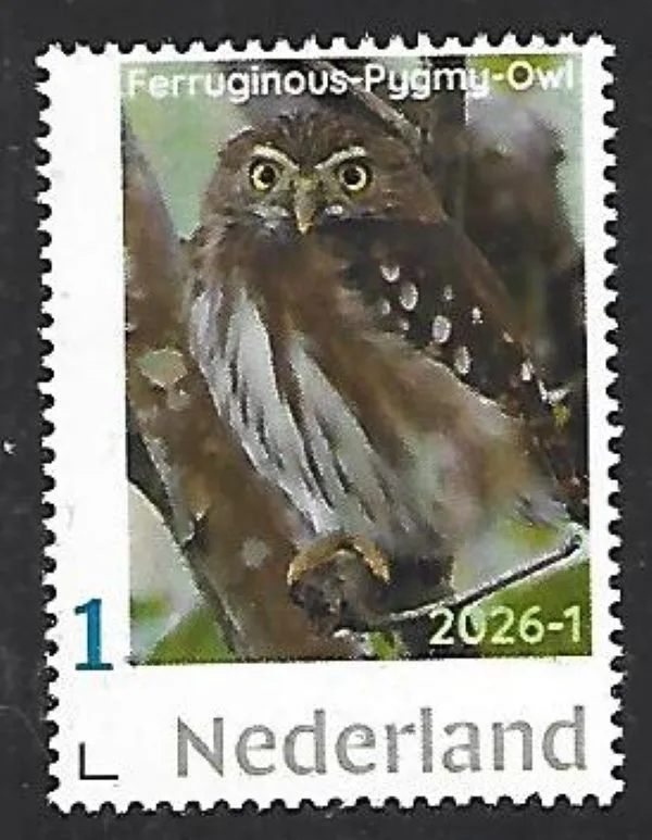 Nederland 2026-1 Uil Owl: Ferruginous-pygmy owl postfris/mnh