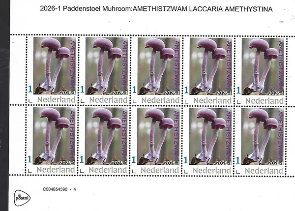 Nederland 2026-1 Paddenstoel Mushroom; Amethistzwam Laccaria Amethystina sheet postfris/mnh