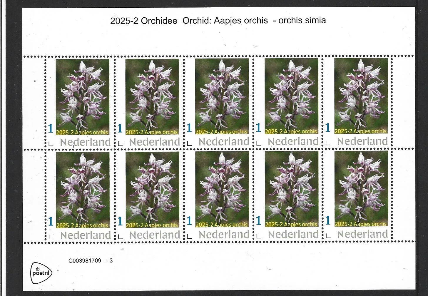 Netherlands 2025-2 Monkey Orchid sheet MNH