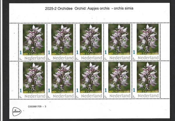 Nederland 2025-2 Aapjesorchis sheet postfris/mnh