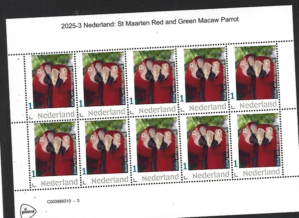 Nederland 2025-3 Car. Neth. st maarten Maccaw parrot sheetlet postfris/mnh
