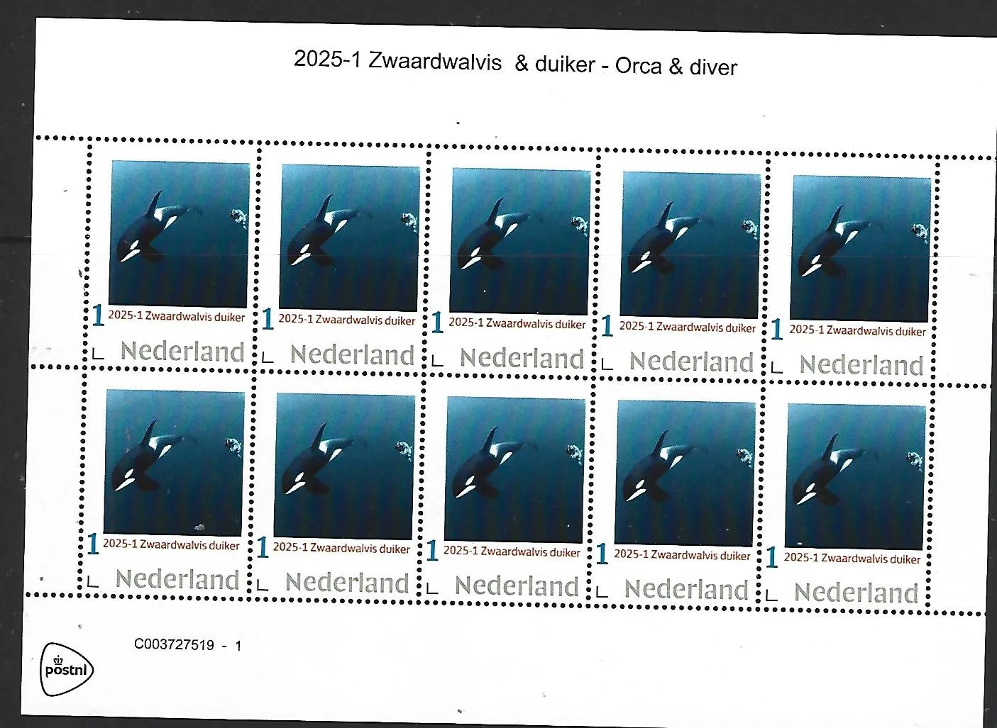 Nederland 2025-1 Duiker Walvis Whale Orca sheet postfris/mnh