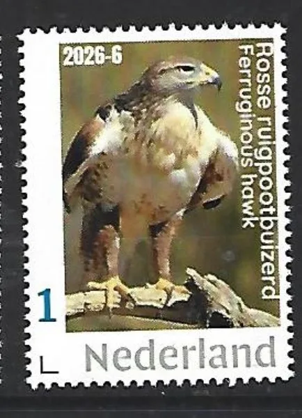 Netherlands 2026-6 Bird of Prey: Rough-legged Buzzard MNH