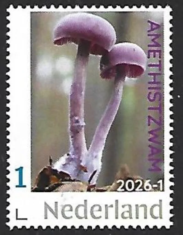 Netherlands 2026-1 Mushroom Laccaria Amethystina MNH