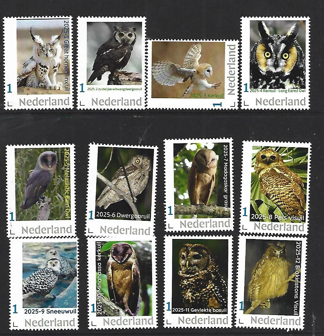 Netherlands 2025 Owls yearset MNH