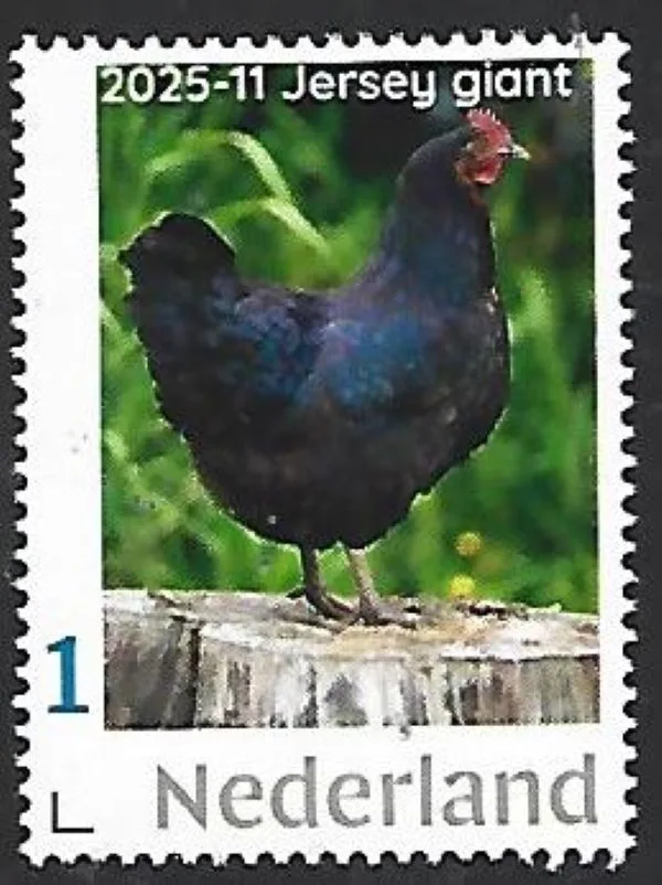 Netherlands 2025-11 Chicken: Jersey Giant MNH