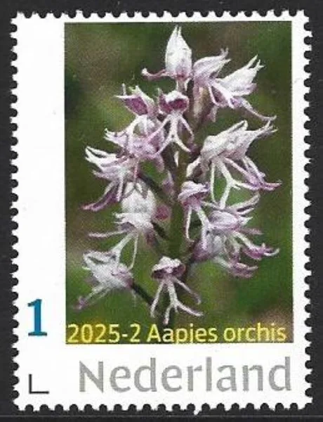 Nederland 2025-2 Aapjesorchis postfris/mnh