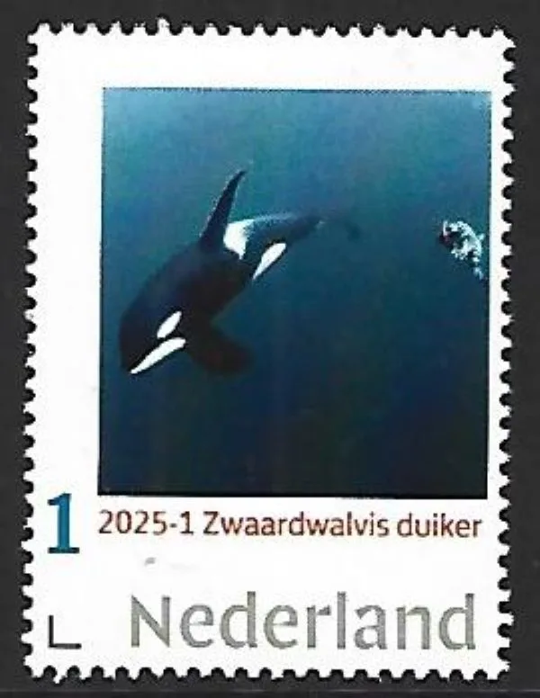 Netherlands 2025-1 Diver Whale Orca MNH