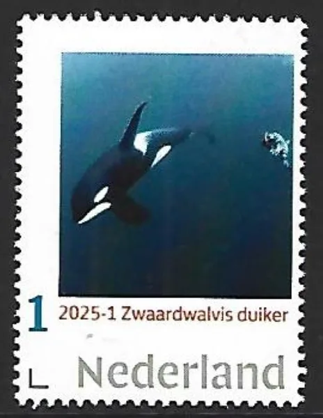 Nederland 2025-1 Duiker Walvis Whale Orca postfris/mnh
