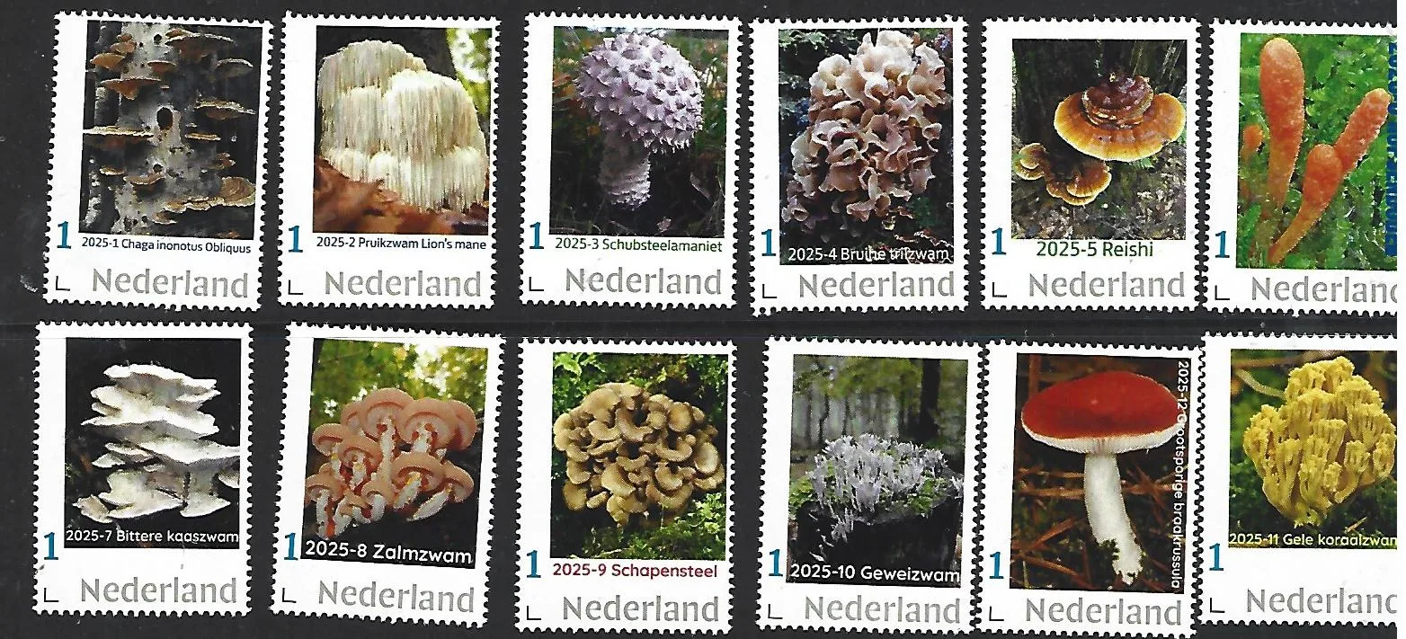 Nederland 2025 Paddenstoel Jaarcollectie Yearset postfris/mnh