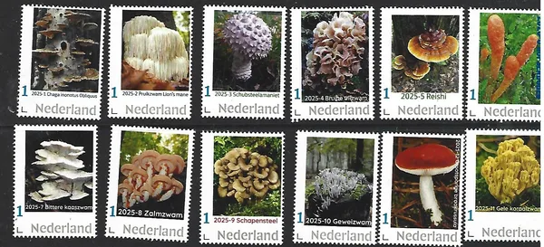 Nederland 2025 Paddenstoel Jaarcollectie Yearset postfris/mnh