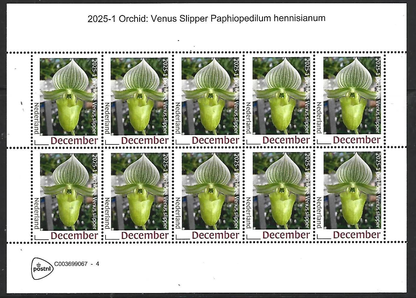 Netherlands 2025-1 Orchid: Venus Slipper sheetlet MNH