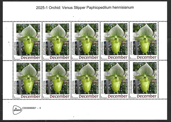 Nederland 2025-1 Orchidee Orchid: Venus Slipper sheetlet postfris/mnh
