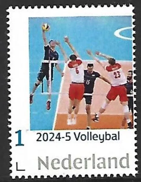 2024-5 Volleyball MNH