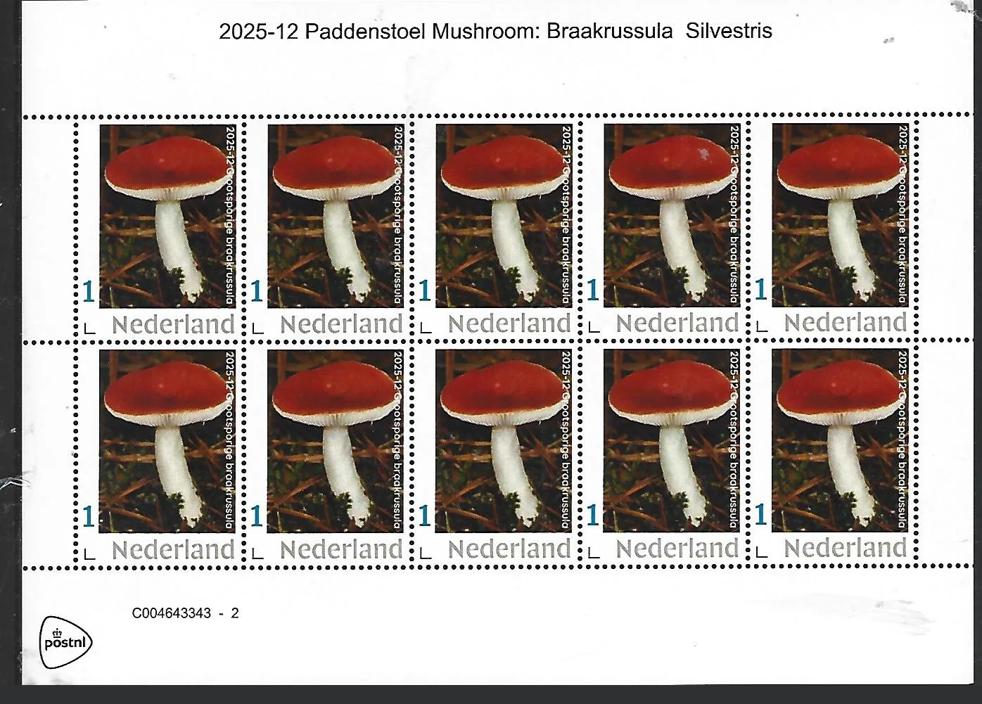 Nederland 2025-12 Paddenstoel Mushroom: Braakrussula investris sheet postfris/mnh
