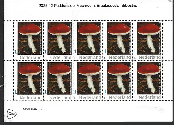 Netherlands 2025-12 Mushroom Braakrussula investris sheet MNH