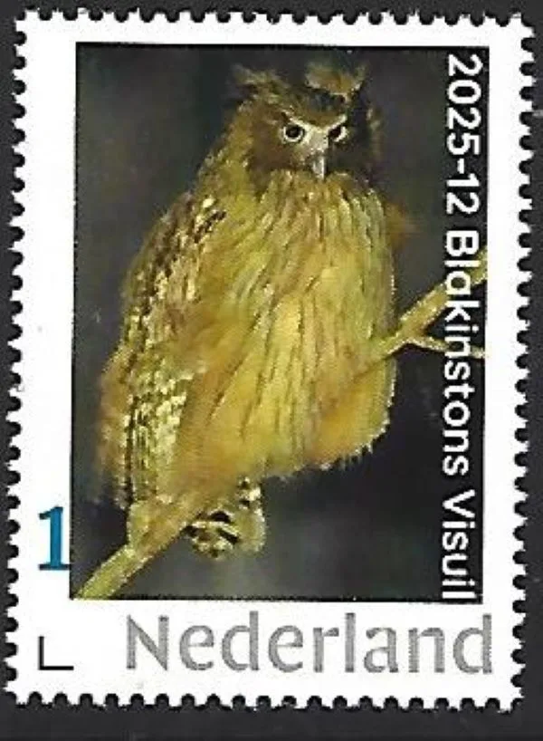 Nederland 2025-12 Uil Owl; Blakinstons uil Blakinston's owl mnh