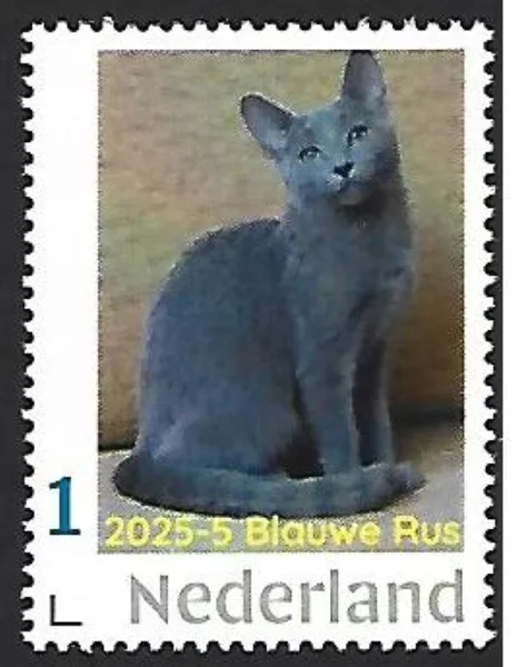 Nederland 2025-6 Kat Cat: Russian blue postfris/mnh
