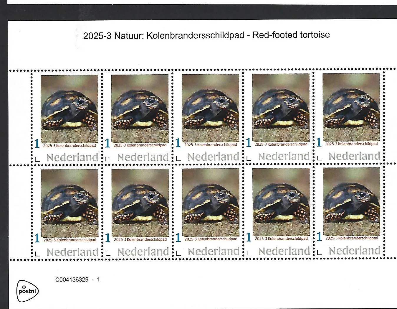 Netherlands 2025-3 Nature: Red-footed tortoise sheet MNH