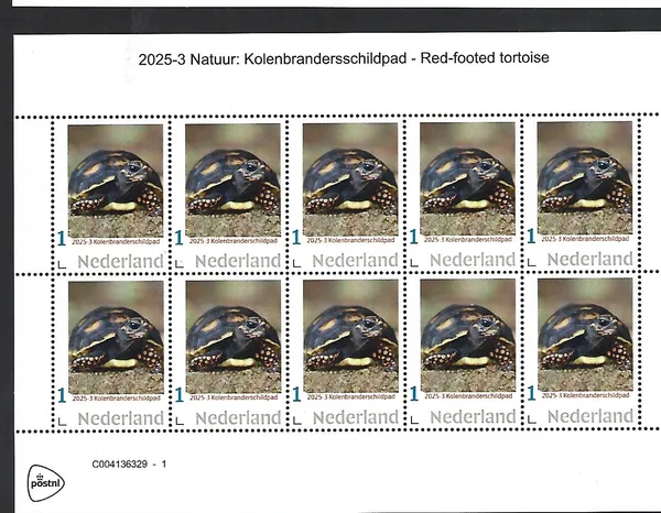 Nederland 2025-3 Natuur Nature: Kolenbranderschildpad red-footed tortoise sheet postfris/mnh