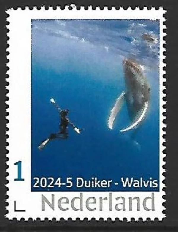 Pays-Bas 2024-5 Plongeur et Baleine à bosse - postfris/mnh