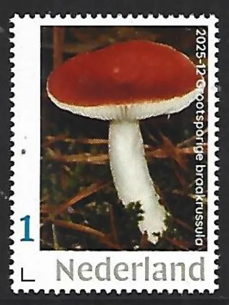 Netherlands 2025-12 Mushroom: Braakrussula investris MNH
