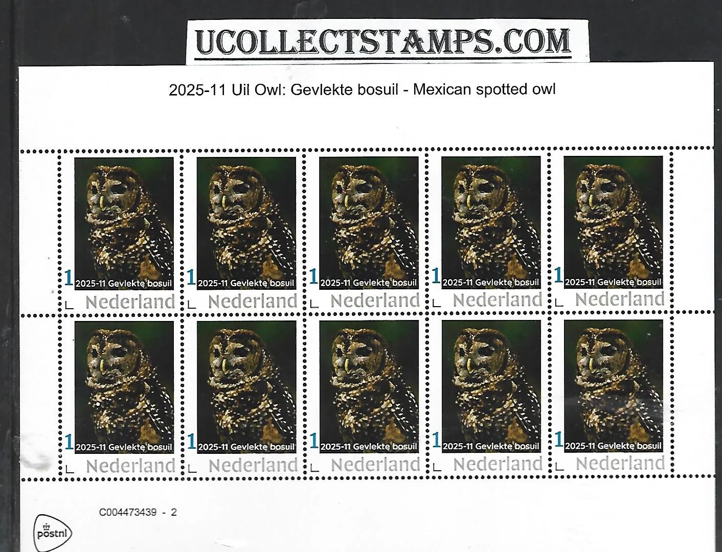 Netherlands 2025-11 Owl: Spotted forest owl Mexican spotted owl sheet MNH