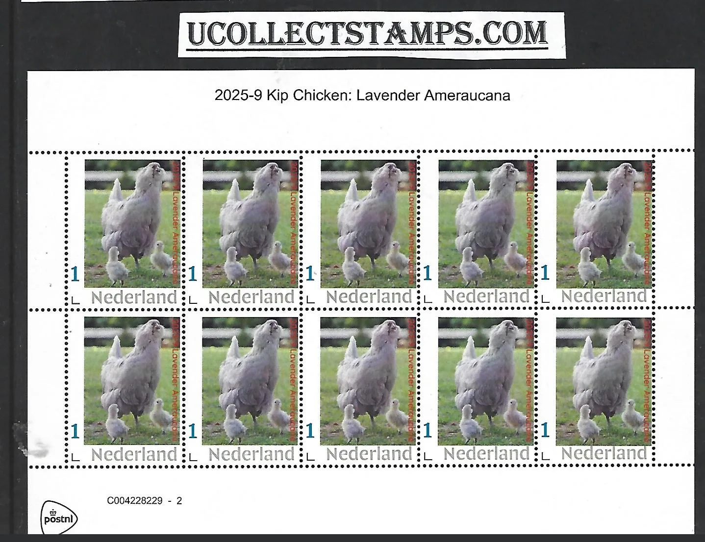 Netherlands 2025-9 Chicken: Lavender Ameraucana sheet MNH