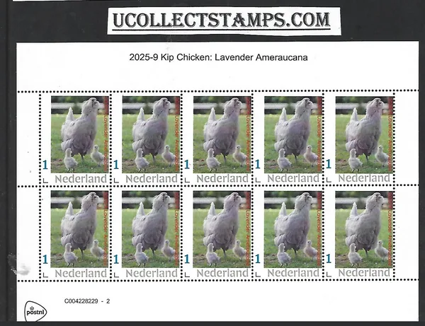 Nederland 2025-9 Kip Chicken: Lavender Ameraucana sheet postfris/mnh