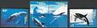 102-105 Whales and Dolphins 1995 MNH