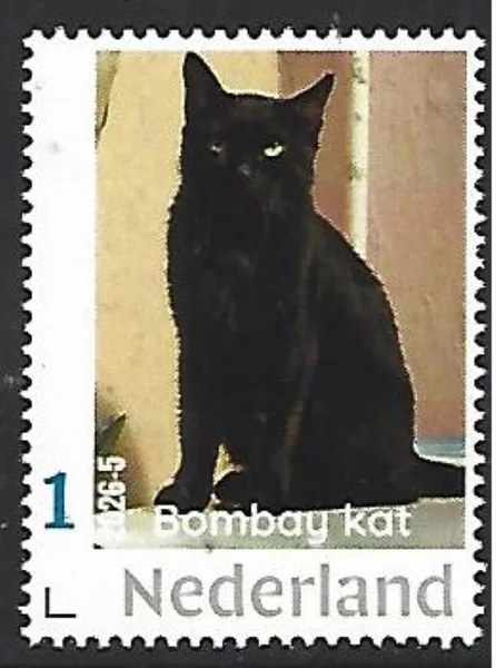 Netherlands 2026-5 Cat: Bombay cat MNH