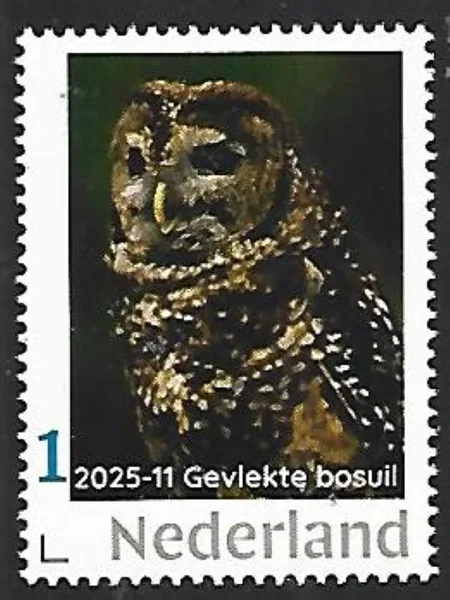 Netherlands 2025-11 Owl: Spotted Wood Owl Mexican spotted owl MNH