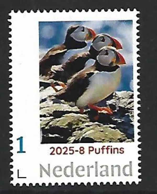 Nederland 2025-8 Papegaaiduiker Puffins Papegeitaucher postfris/mnh