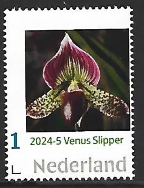 Nederland 2024-5 Orchidee Orchid: Venus slipper postfris/mnh