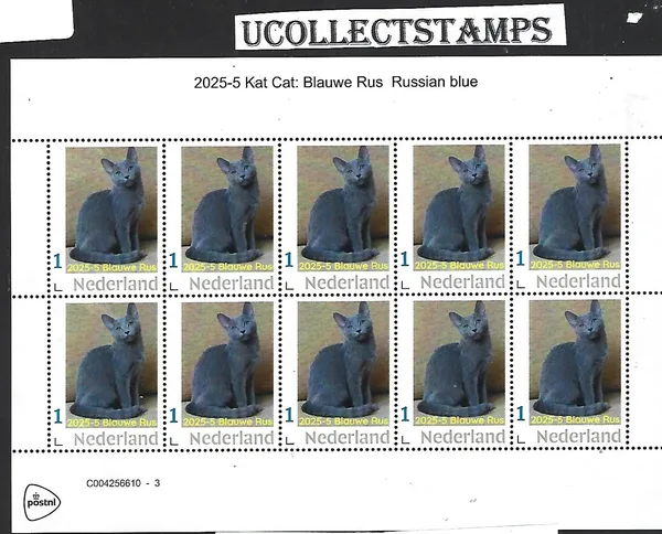 Netherlands 2025-5 Cat: Russian Blue sheetlet MNH