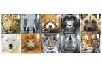 2011 WNF dieren - WWF serie postfris