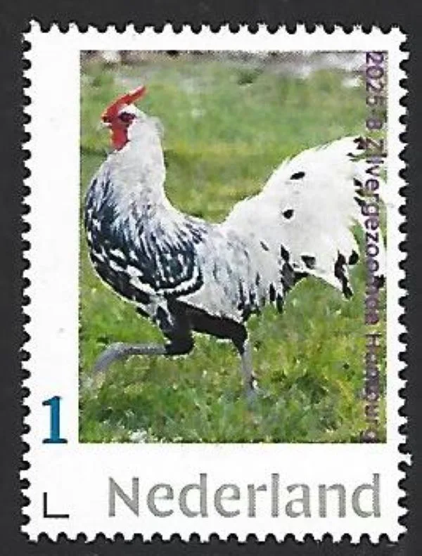 Netherlands 2025-8 Chicken: Silver Spangled Hamburger MNH