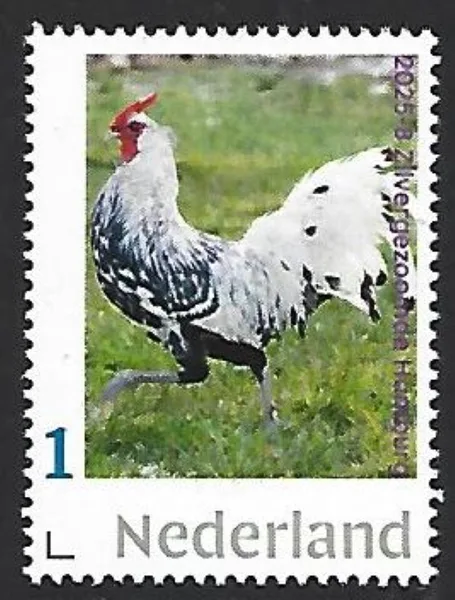 Nederland 2025-8 Kip Chicken: Silver Spangled Hamburger postfris/mnh
