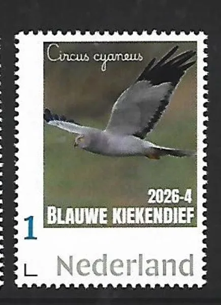 Netherlands 2026-4 Bird Hen Harrier sheetlet MNH