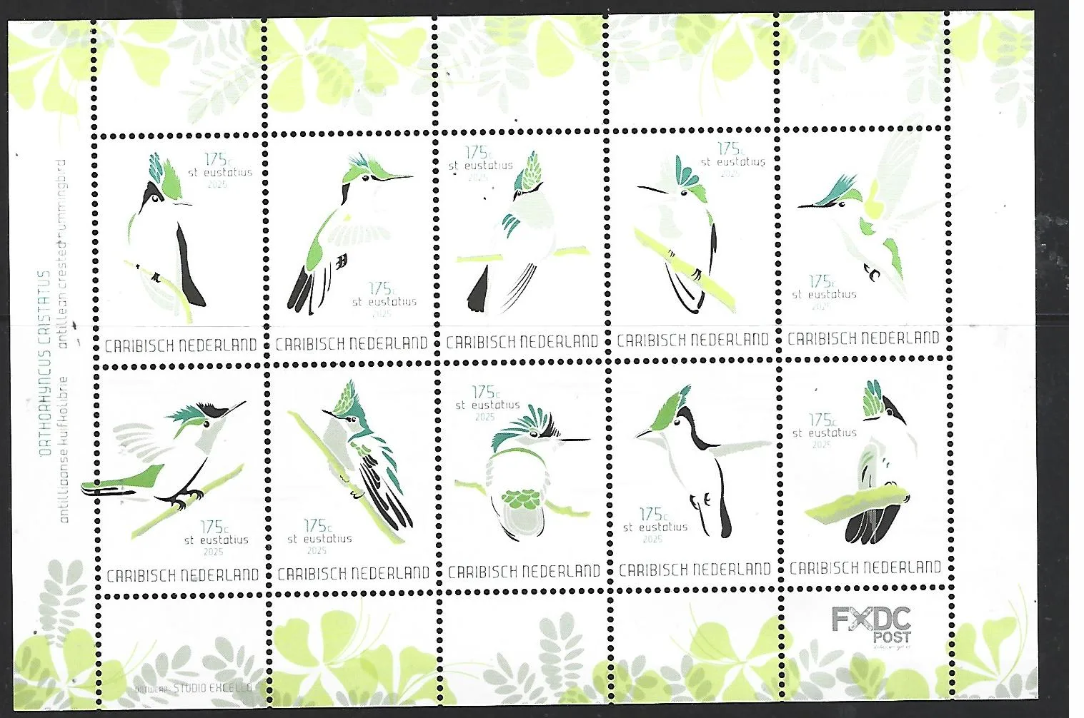 Caribisch Nederland 2025: Eustatius Birds sheetlet postfris/mnh